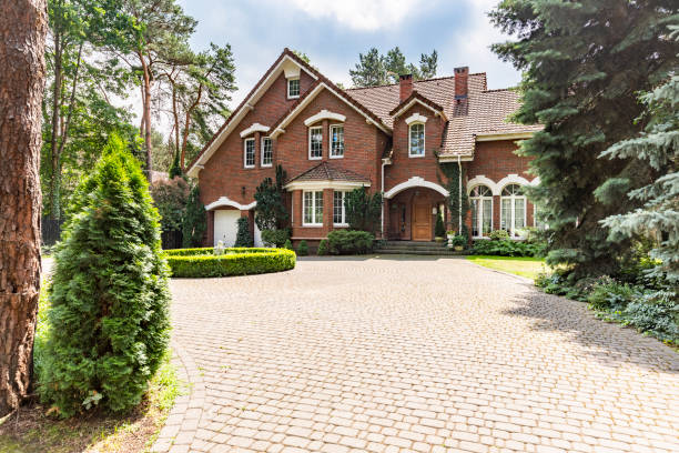 Best Driveway Pavers for Homes  in Homer, IL